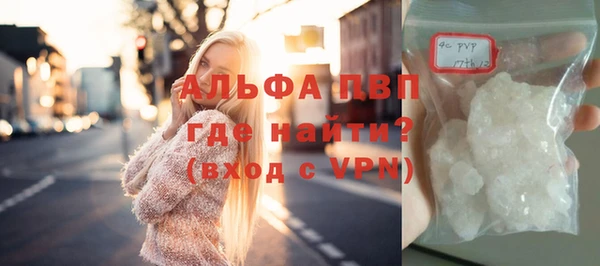 спиды Каменка