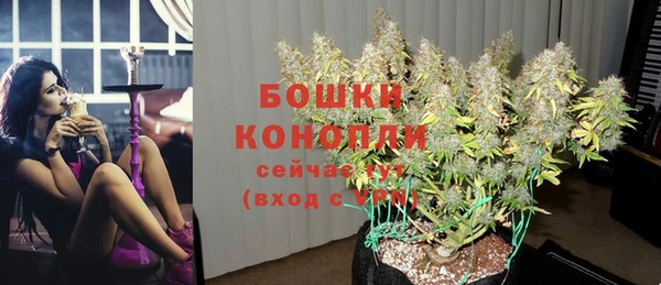 ешки Иннополис