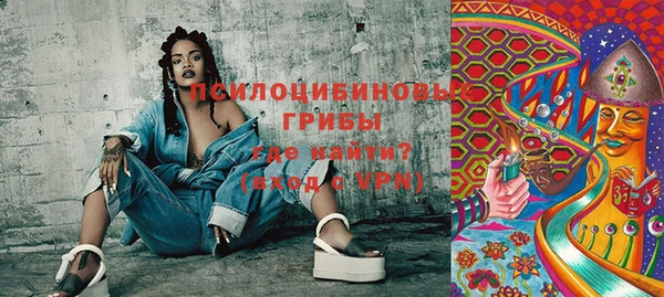 ешки Иннополис