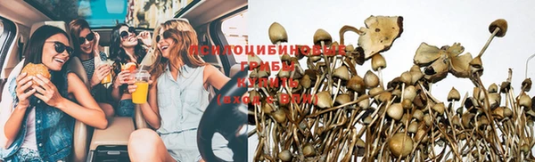 стафф Пенза