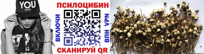 MEGA рабочий сайт  Каменногорск  дарк нет клад  Галлюциногенные грибы Psilocybe 